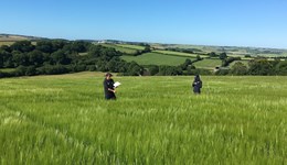Newcastle Farm Network: Research into practice - Nutrition